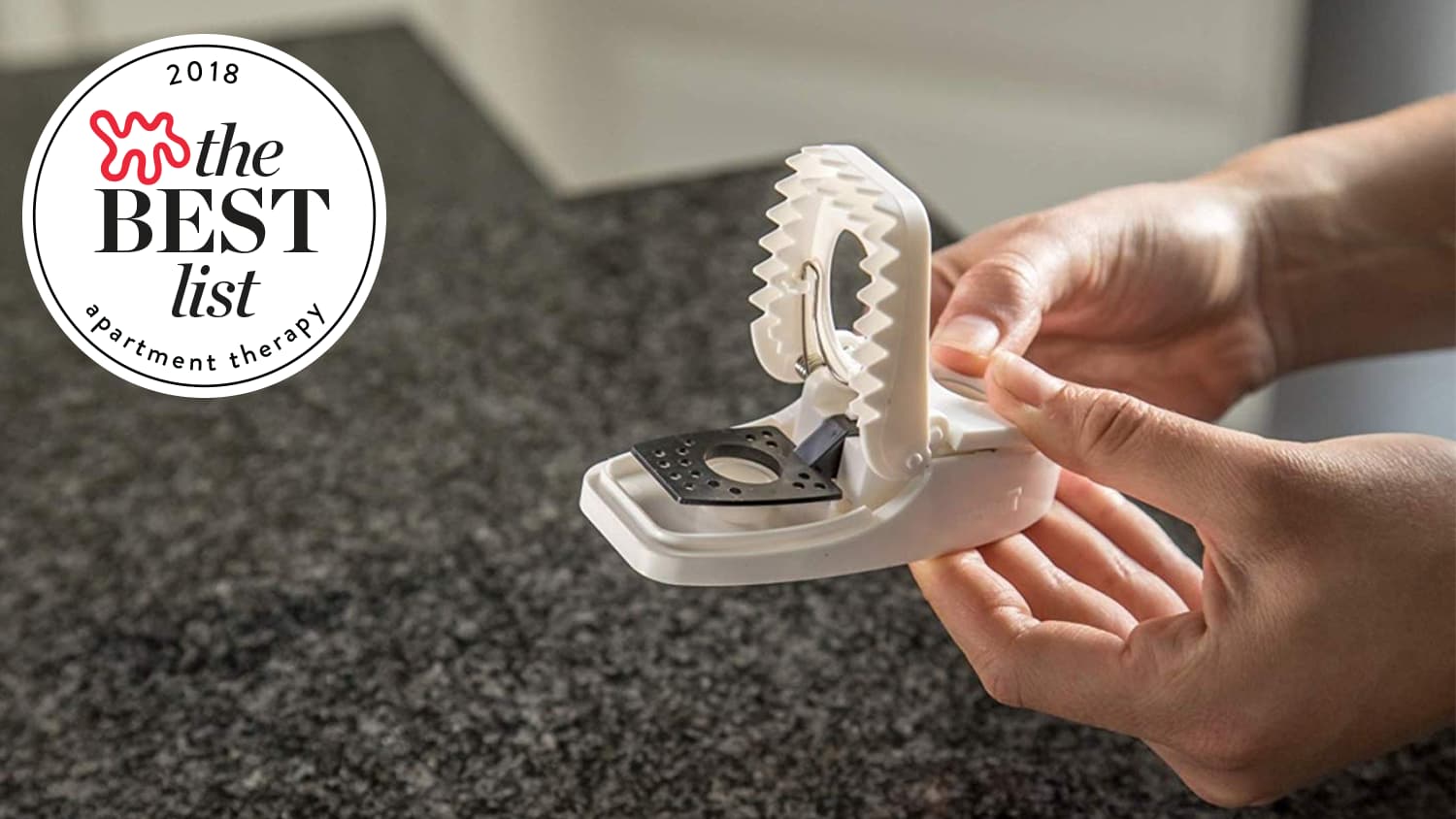 ダークグリーン ラップトップ ベスト Monoha