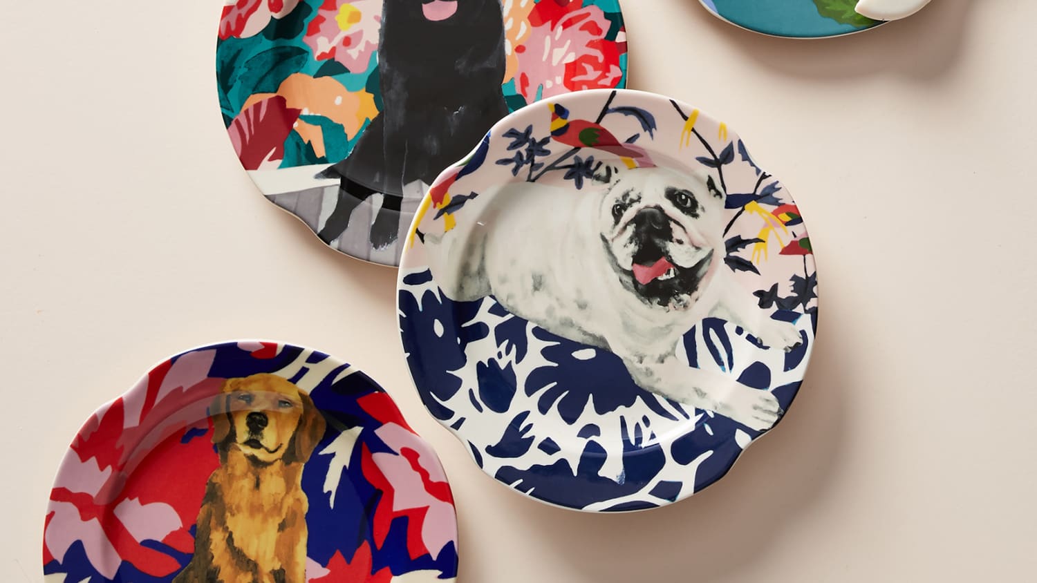 Anthropologie shop dog plates