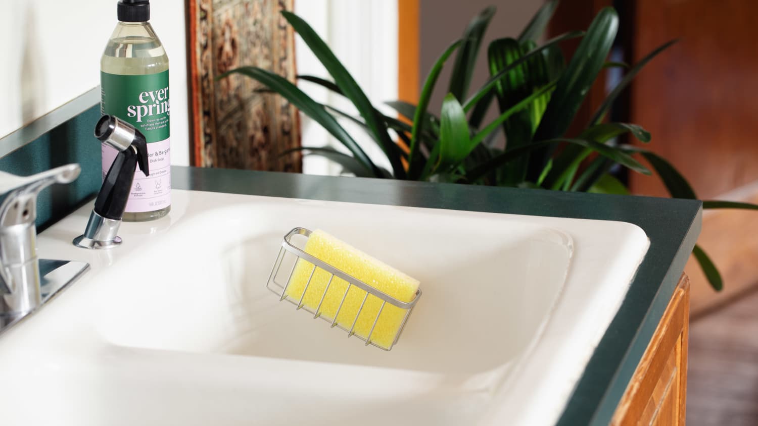 Disinfecting cheap sponge holder
