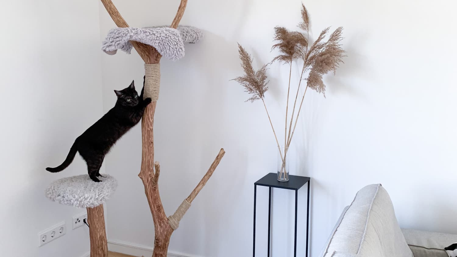 Cat furniture outlet