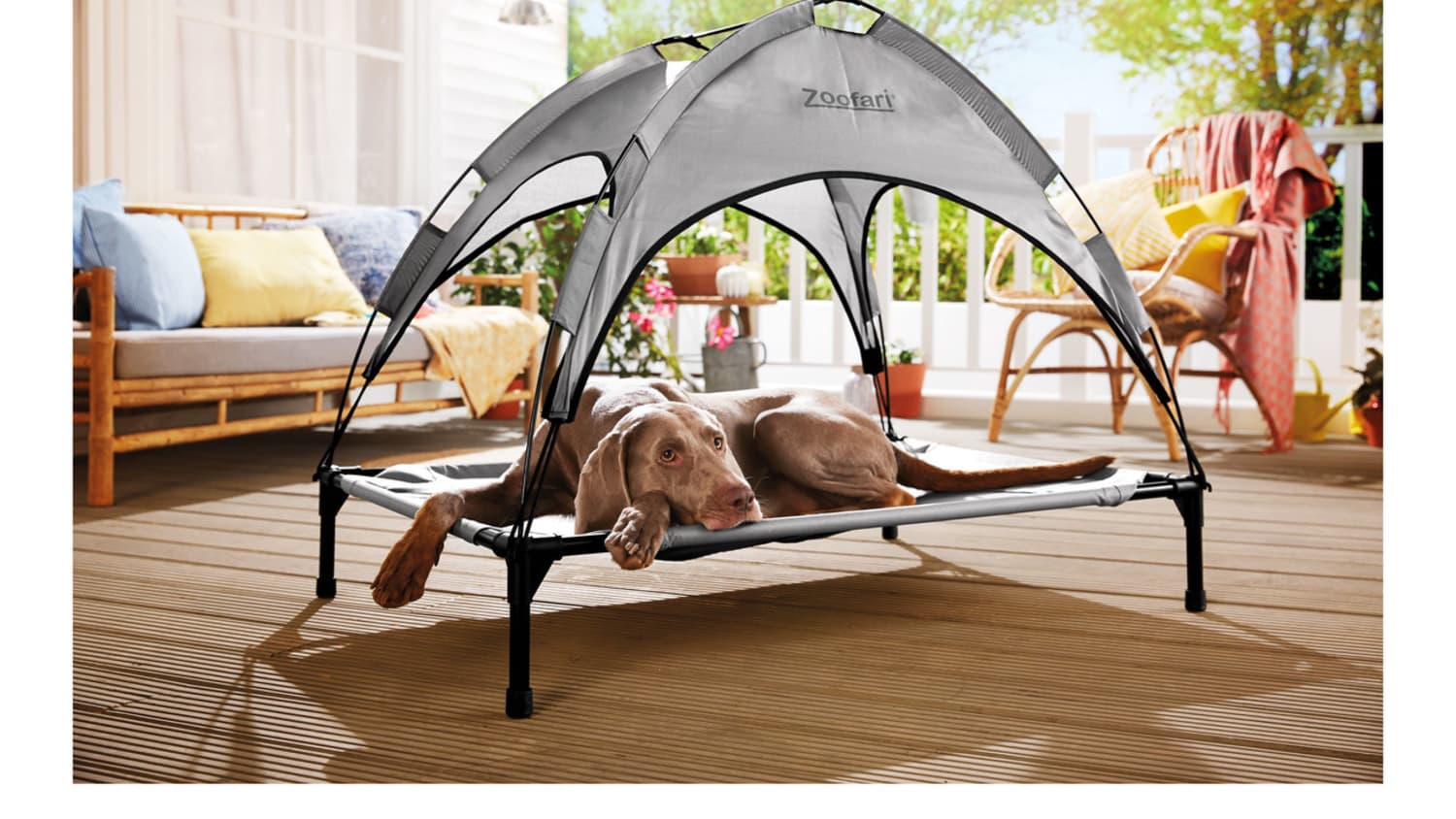 Lidl Is Selling a Dog Bed with a Sun Shade Apartment Therapy
