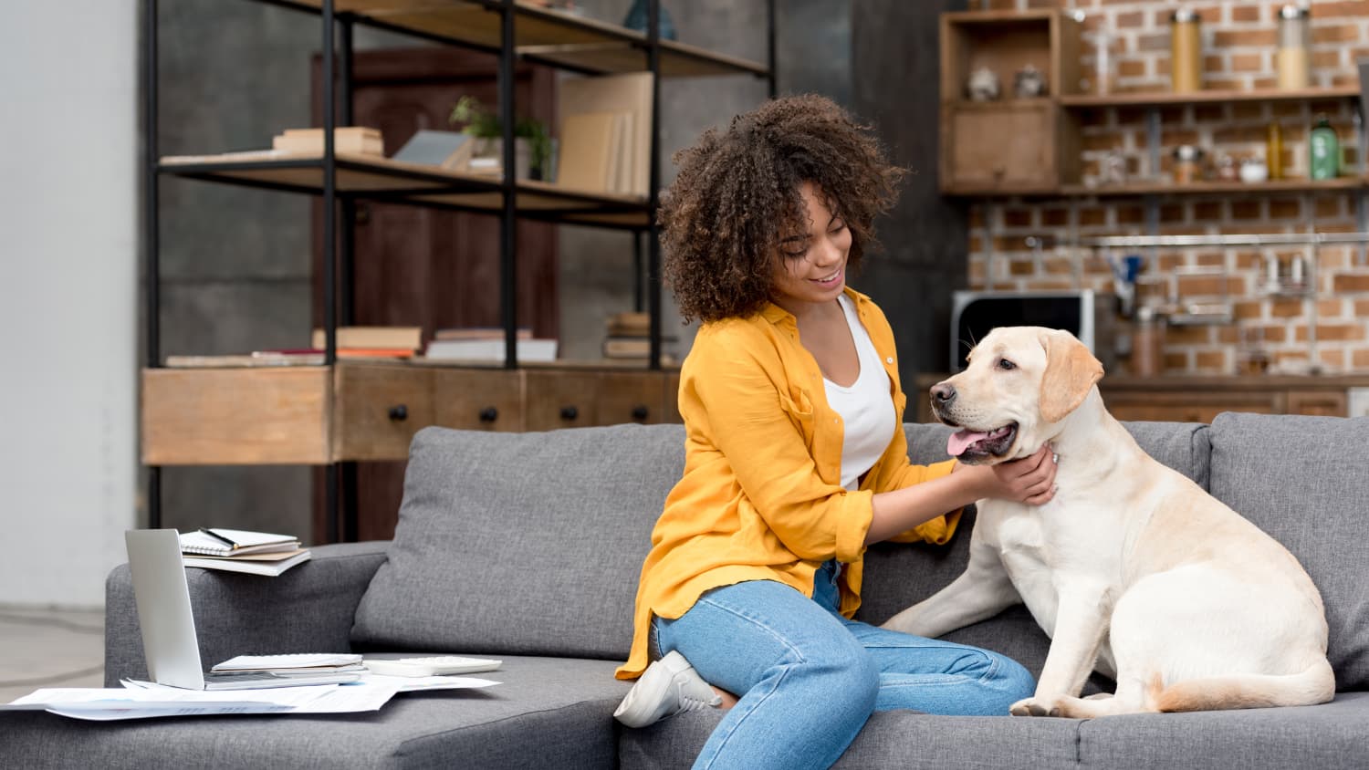 Pet Friendly Companies Take Your Dog to Work Day Apartment Therapy