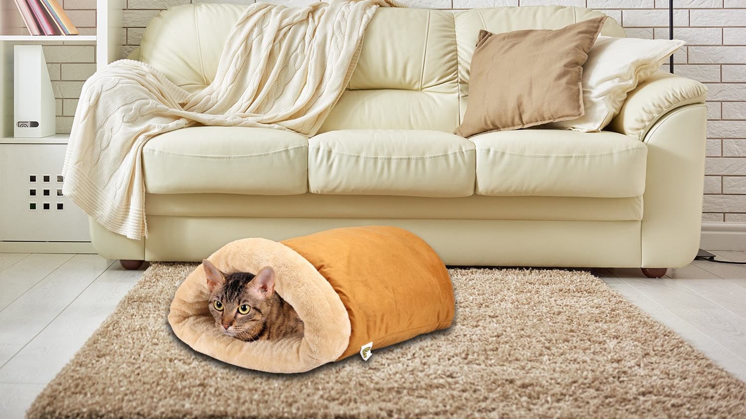 Cat in cheap burrito