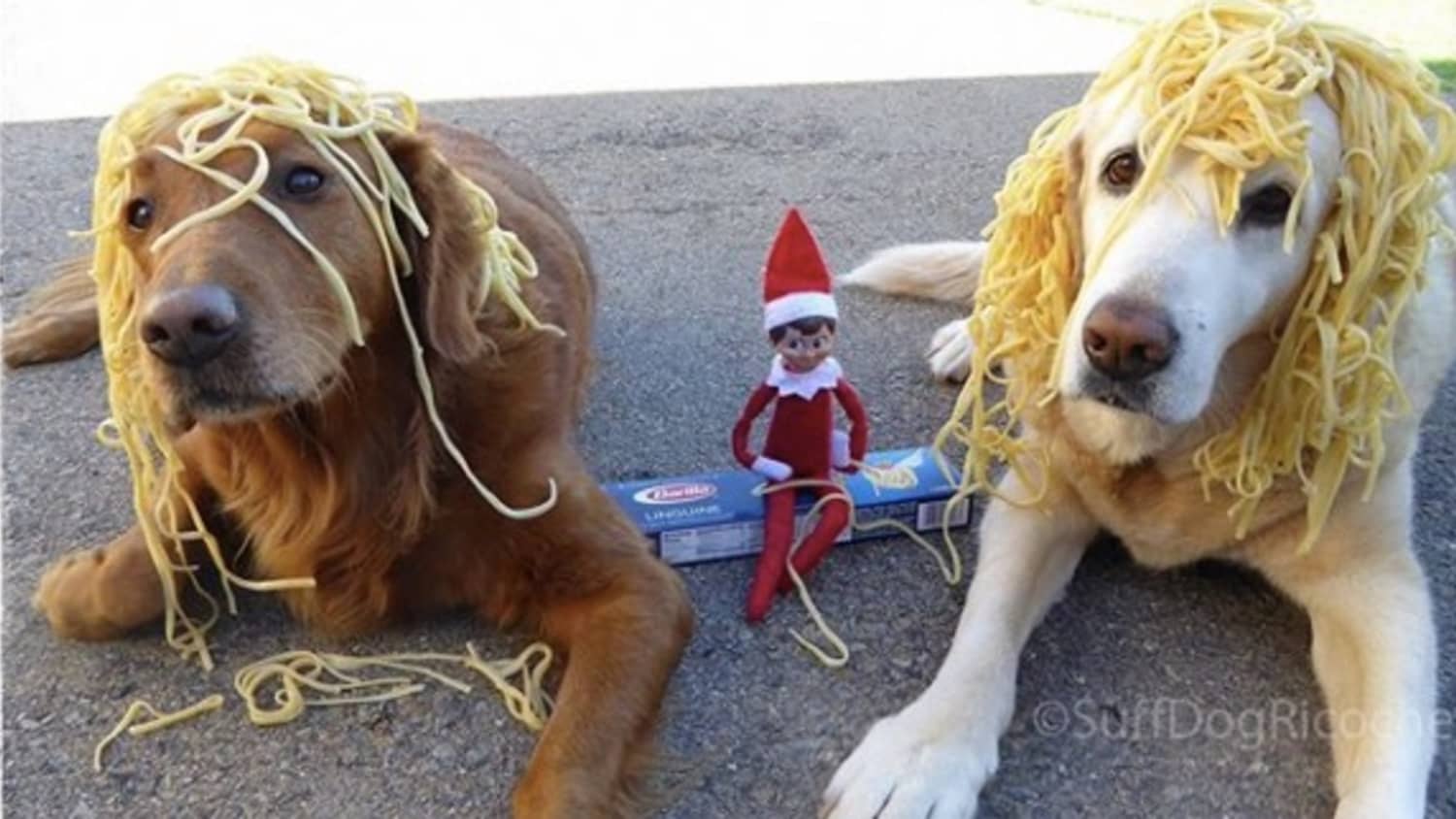 Elf on the shelf dog costume cheap