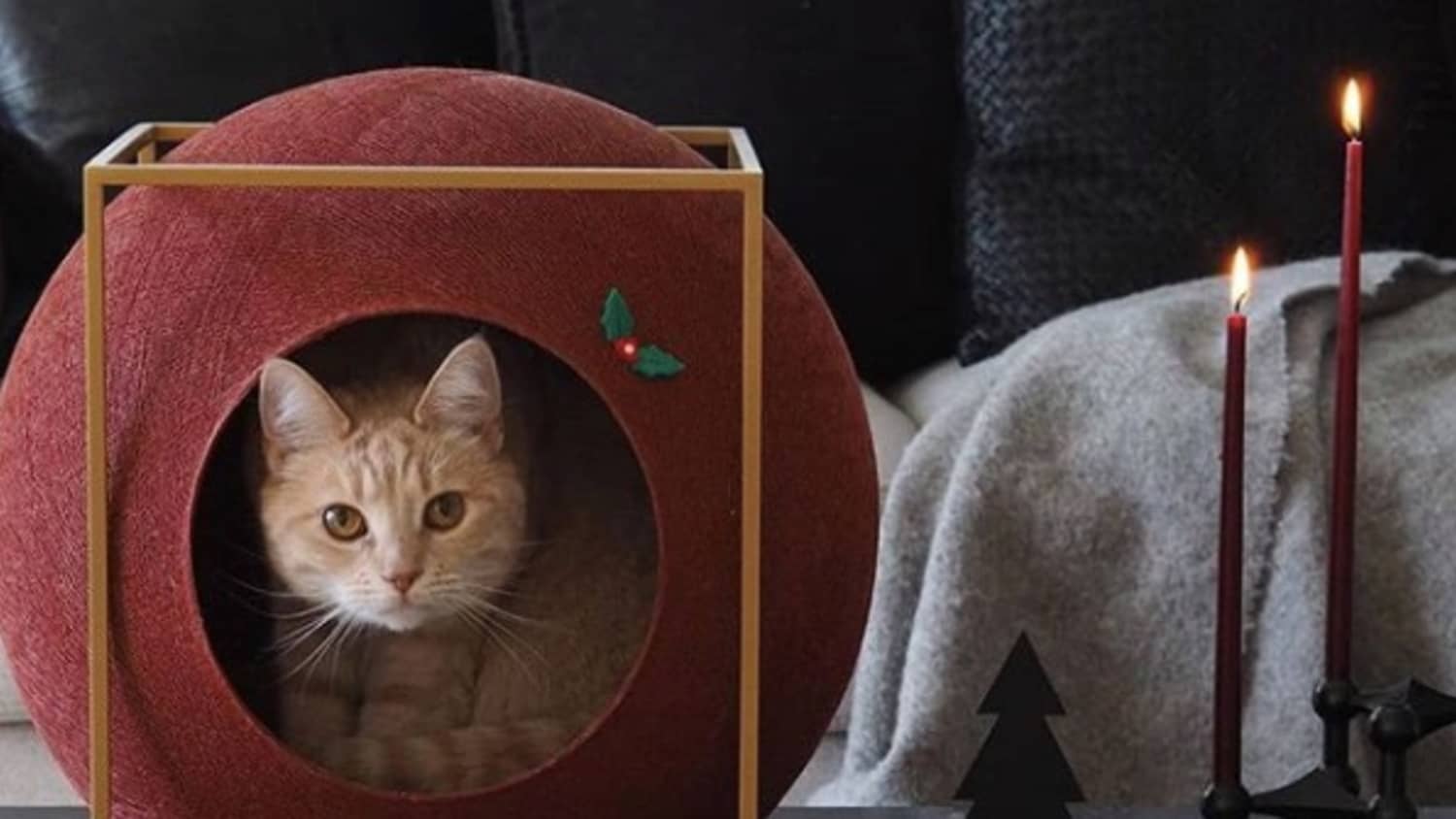 Meyou paris best sale cat ball