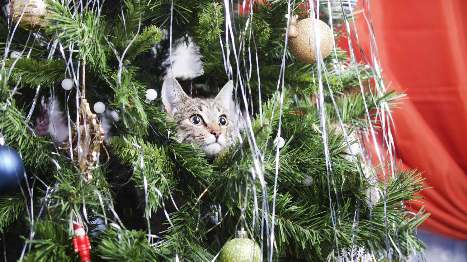 Target Is Selling Holiday Themed Cat Scratch Towers Apartment