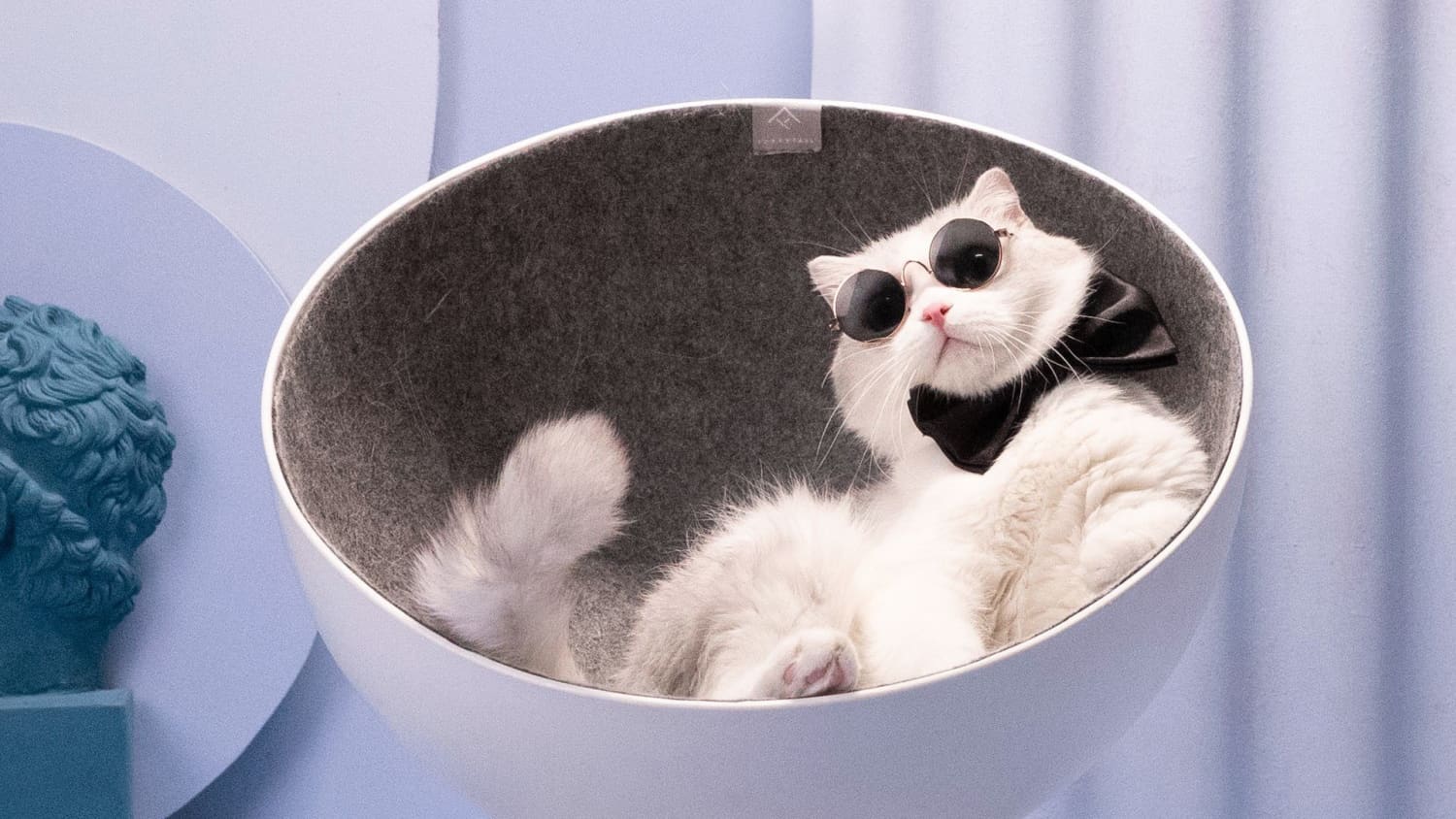 Boss cat bed sales
