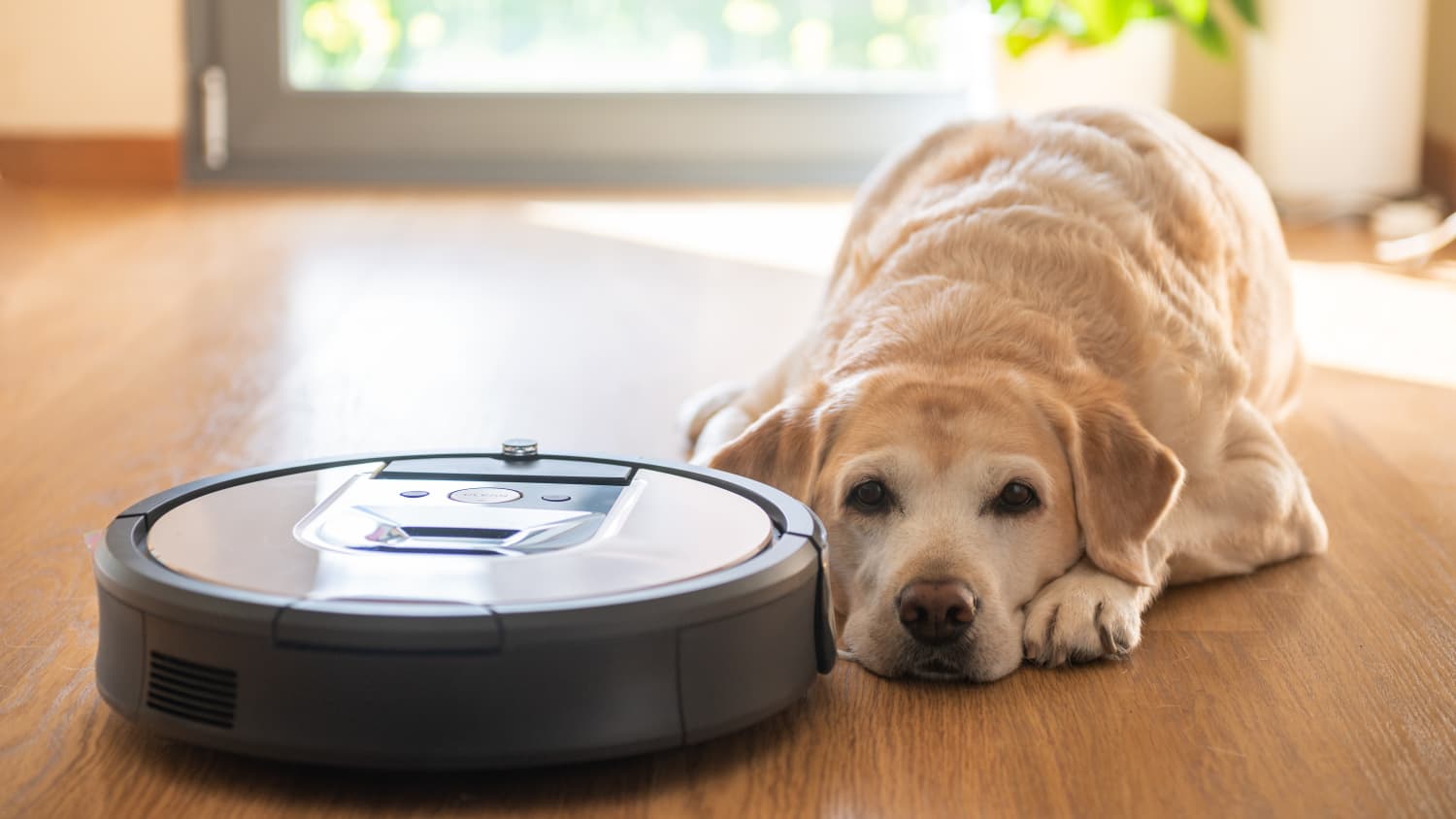 Roomba apartment cheap