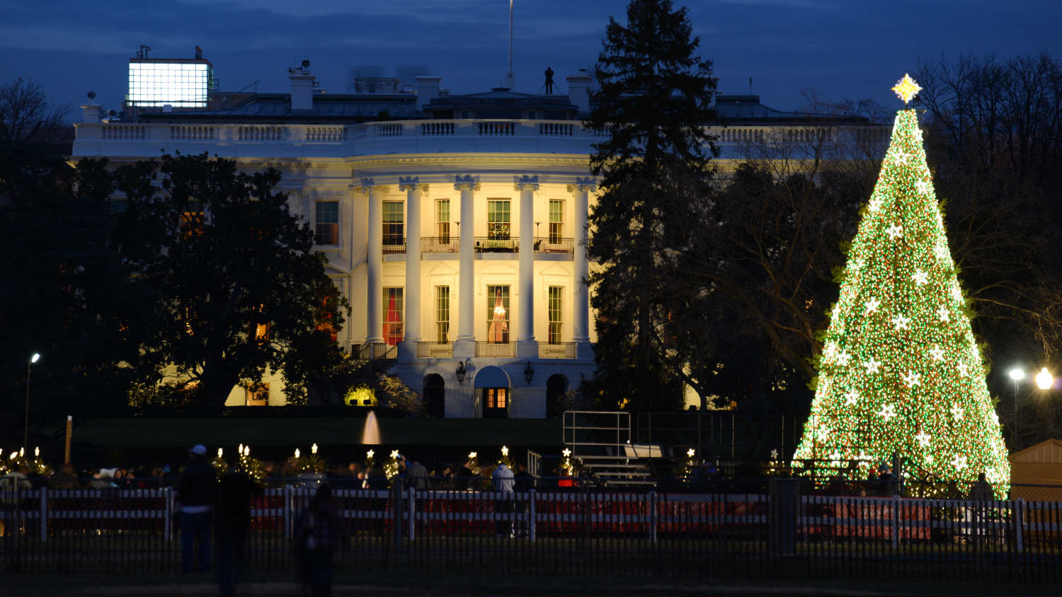 HGTV White House Christmas 2021 Surprising Facts Apartment Therapy