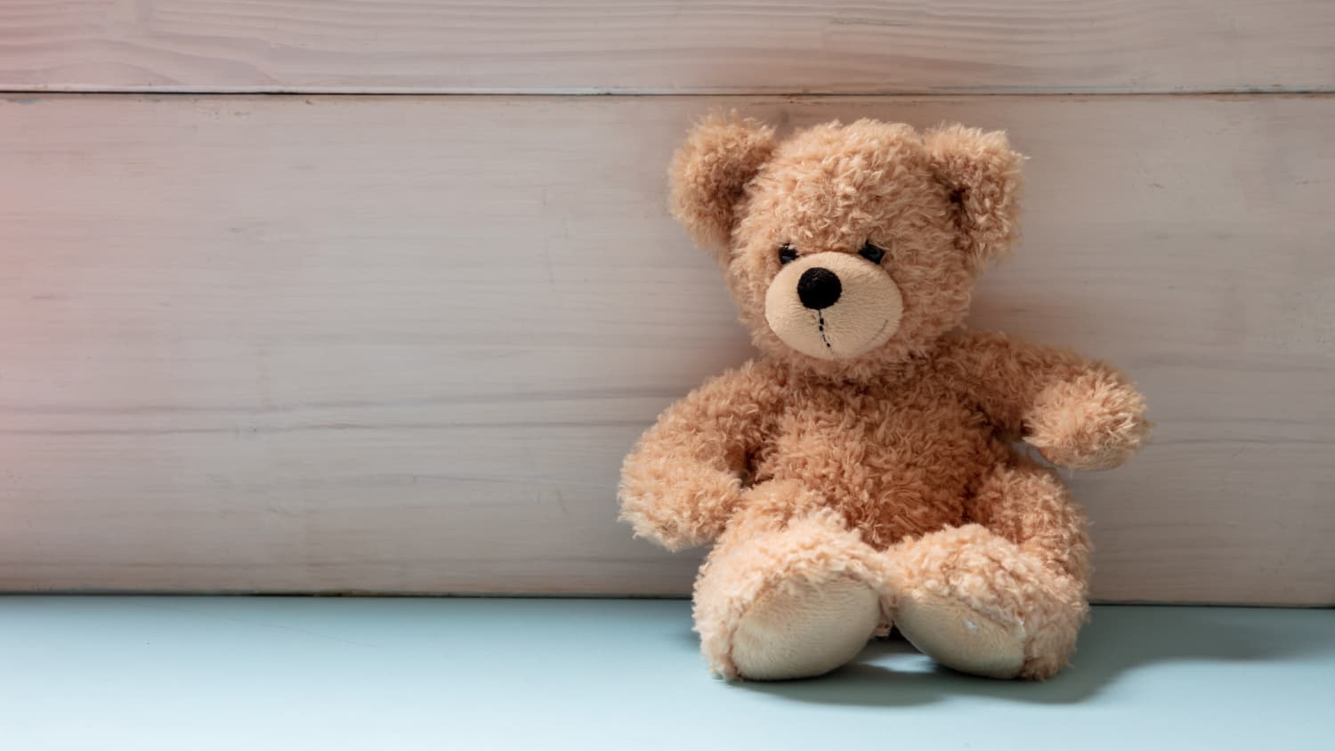 The human top teddy bear