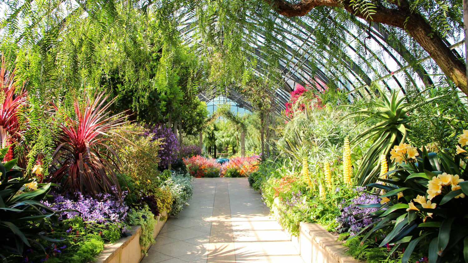 Botanical gardens on sale