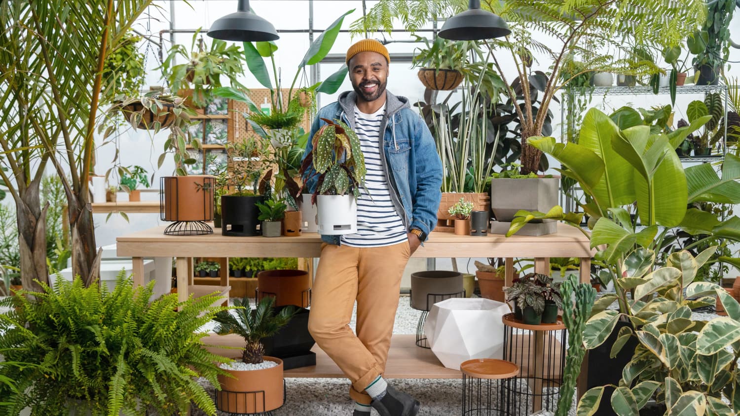 Target online potted plants