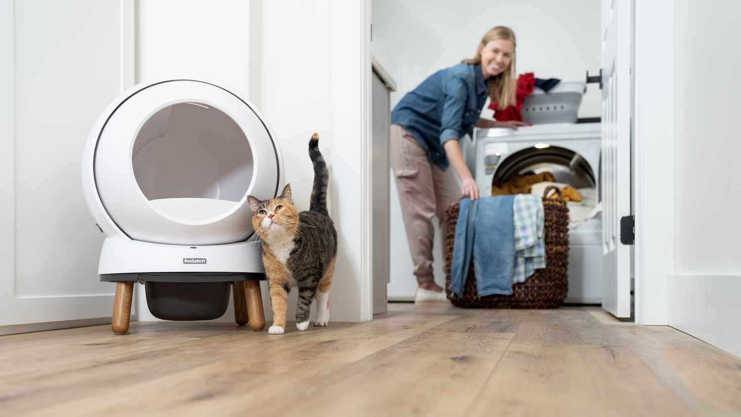 I Tested PetSafe's Self-Cleaning Litter Box: Review Photos