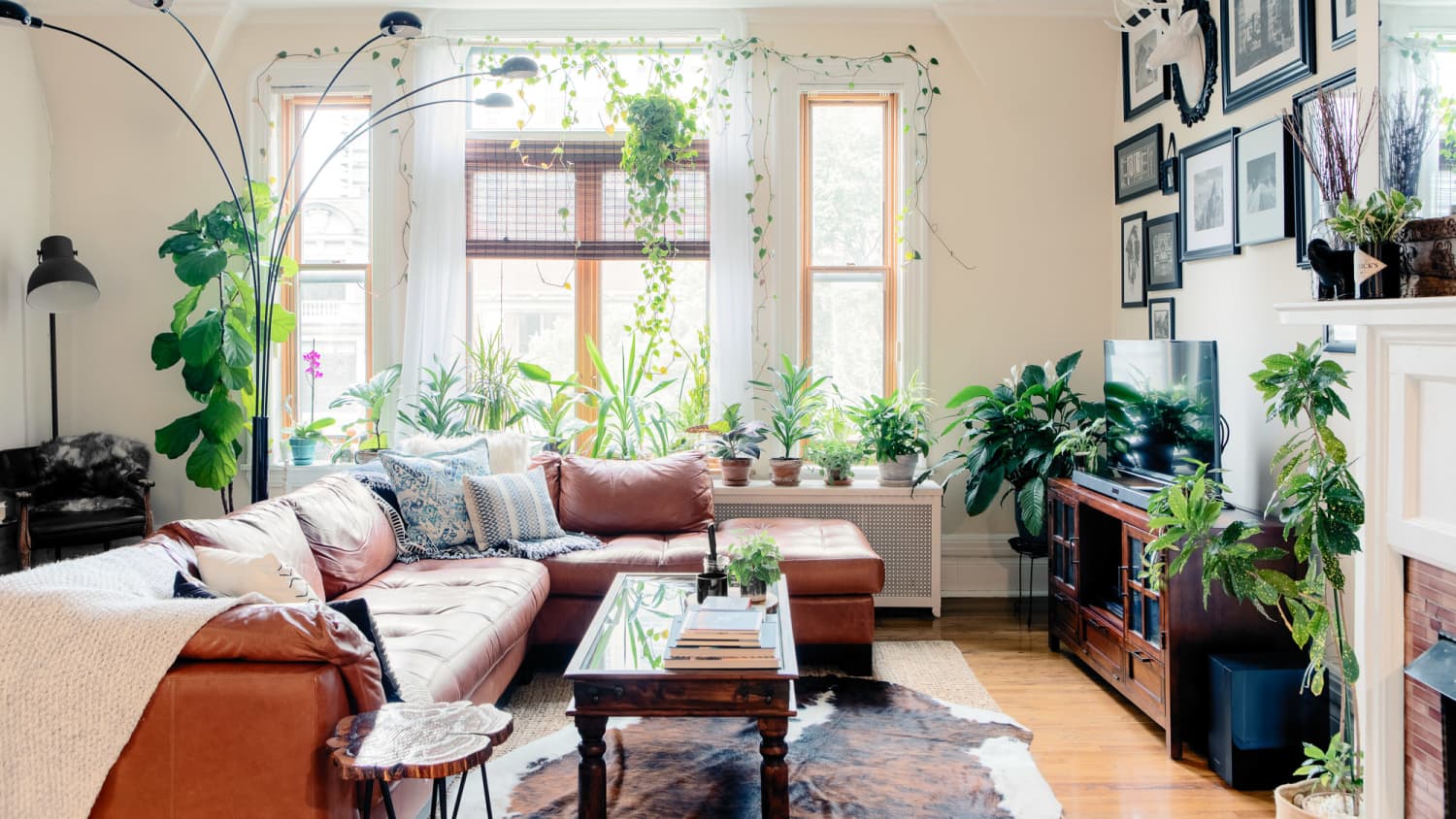 This Is The Best Affordable Indoor Plant Stand Apartment Therapy