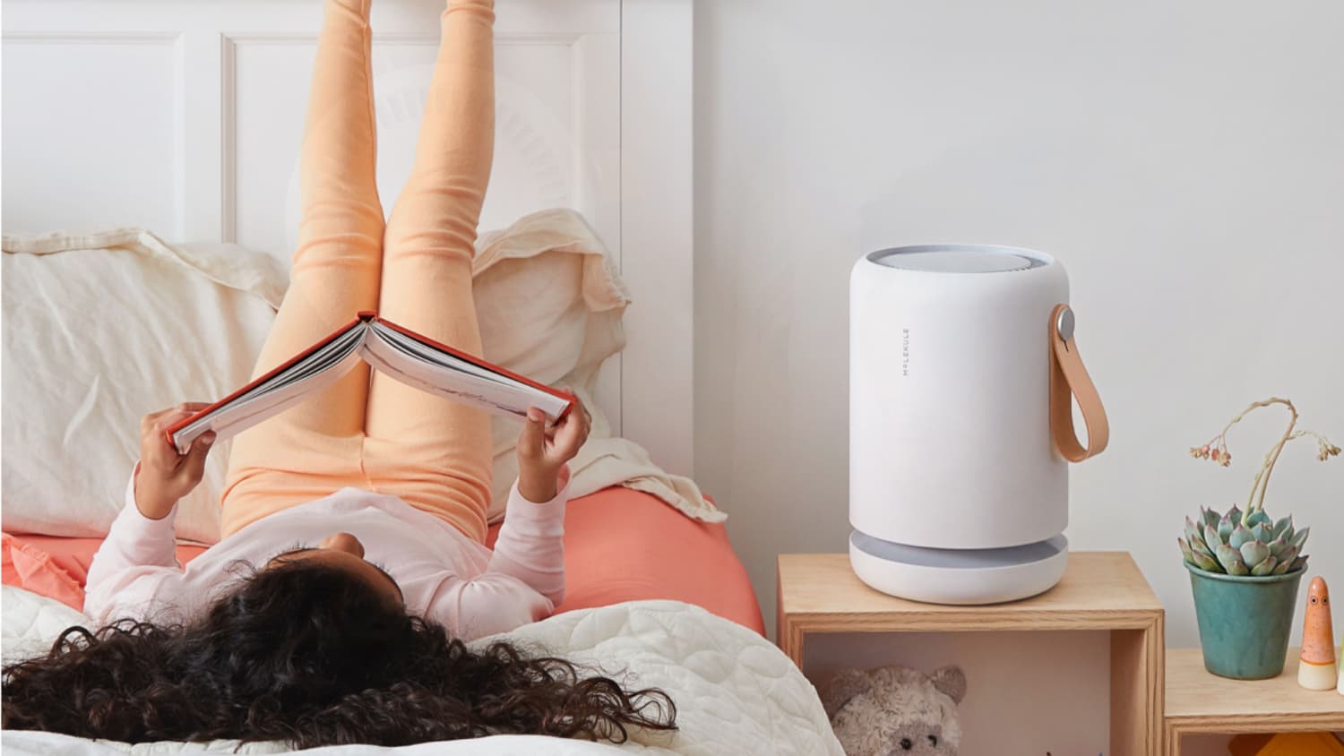 Everything You Might Want to Know About Molekule s Air Purifiers