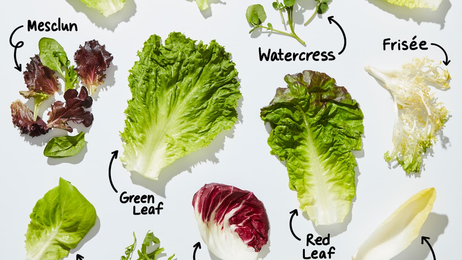 Types of Lettuce: A Visual Guide to Salad Greens