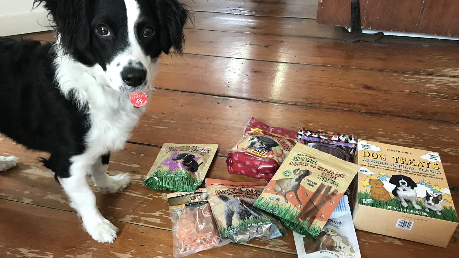 trader joe's chicken breast strips dog treats