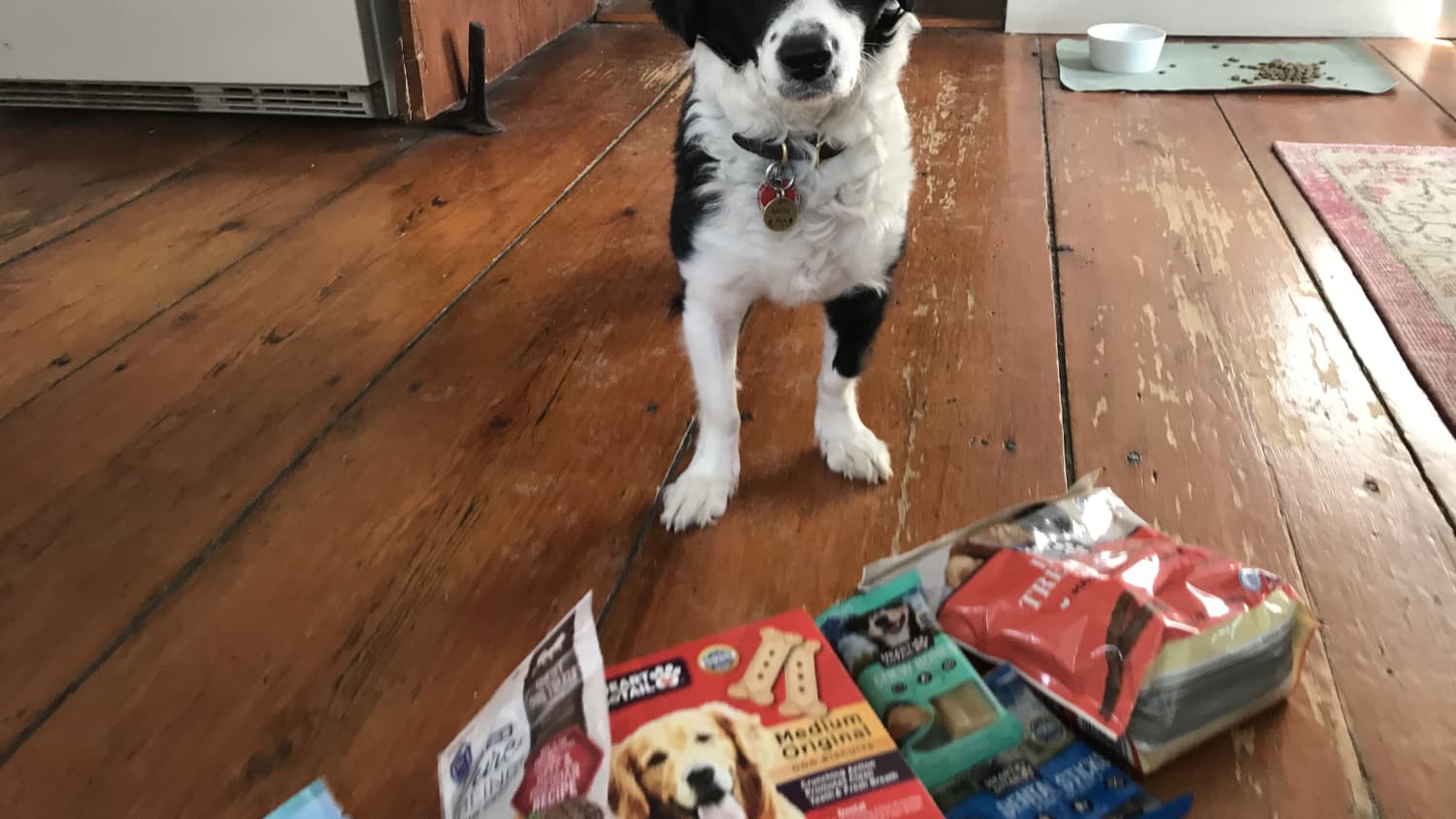 aldi grain free dog food review