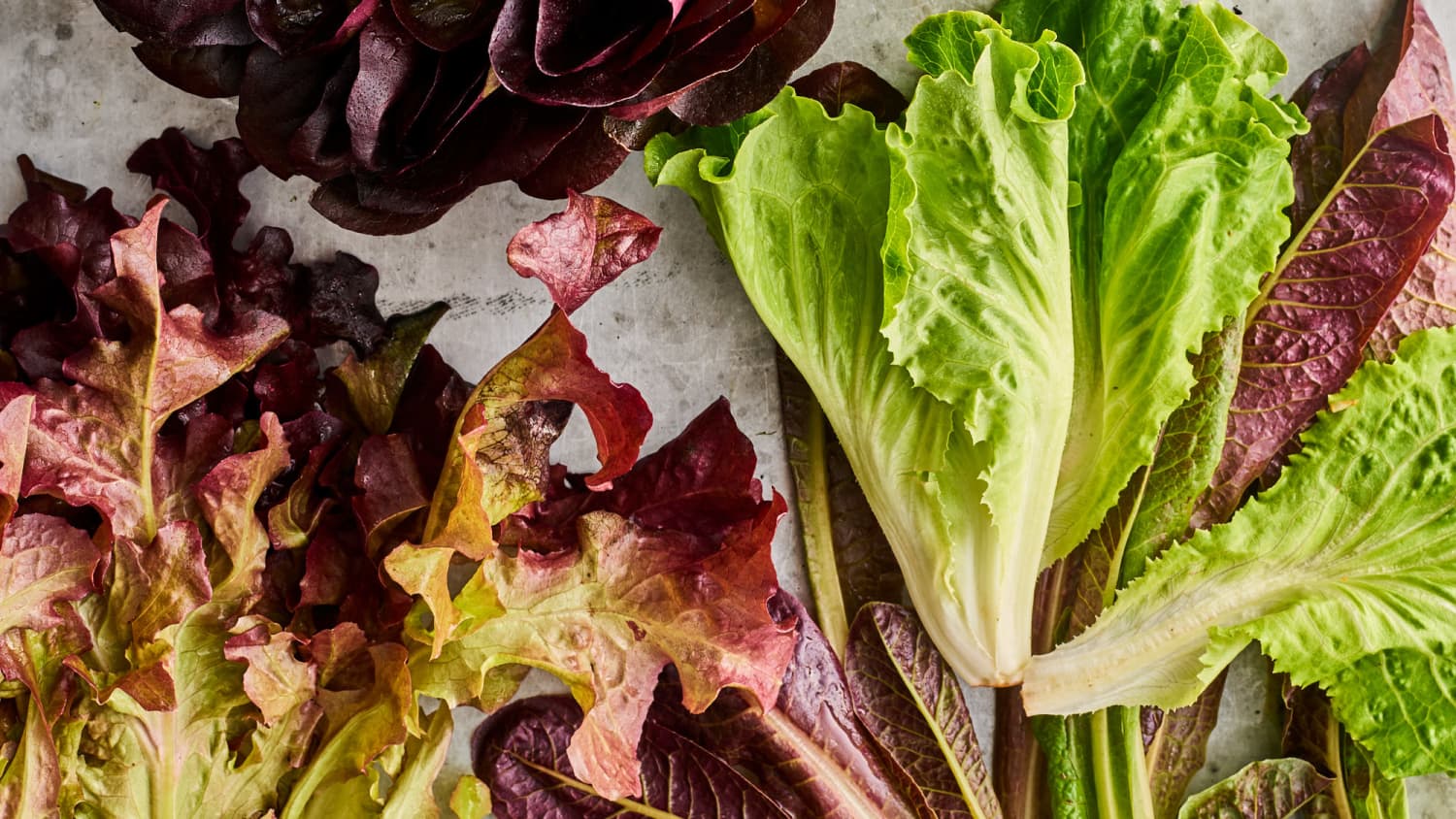 Our Best Romaine Lettuce Recipes Ideas And Tips Kitchn