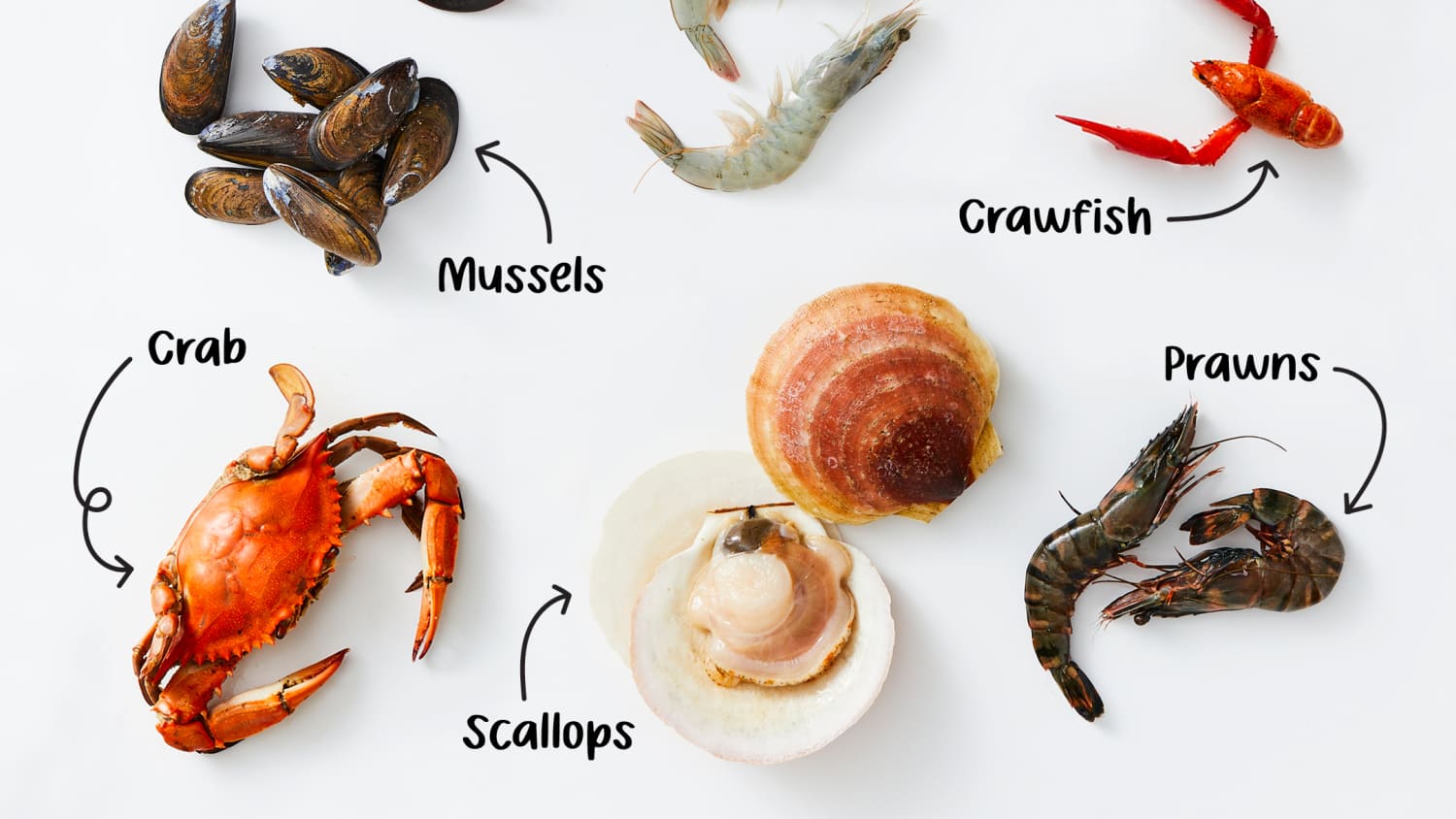The 9 Most Popular Types of Shellfish | The Kitchn