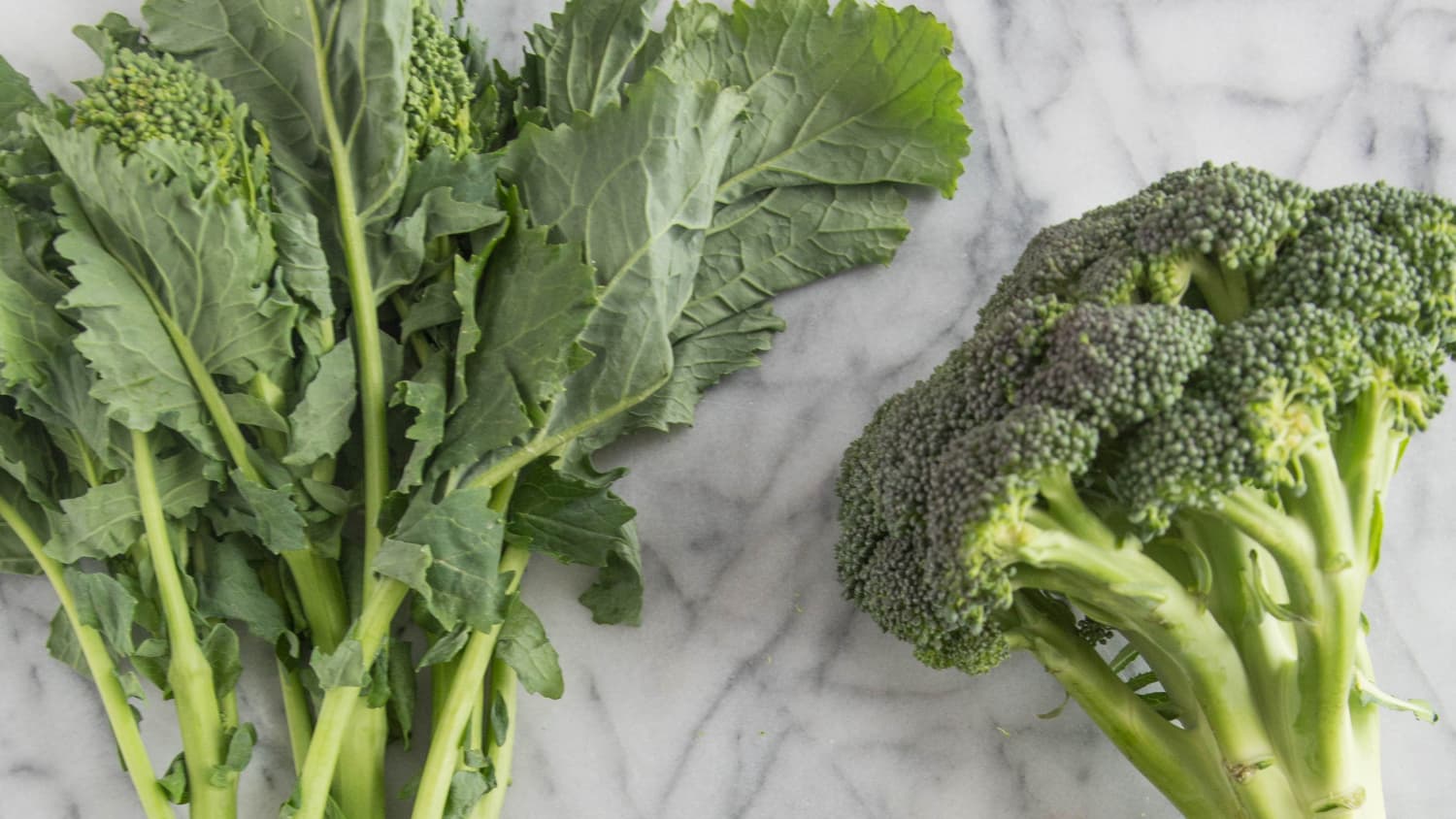 What S The Difference Between Broccoli Broccolini Broccoli Rabe And Chinese Broccoli Kitchn Broccoli rabe roasted with chunks of garlic and oil and a touch of crushed red pepper flakes. what s the difference between broccoli