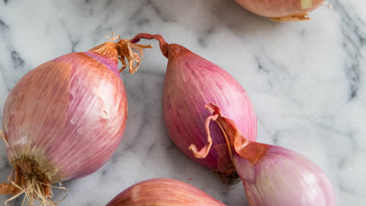 What Is the Difference Between an Onion and a Shallot?