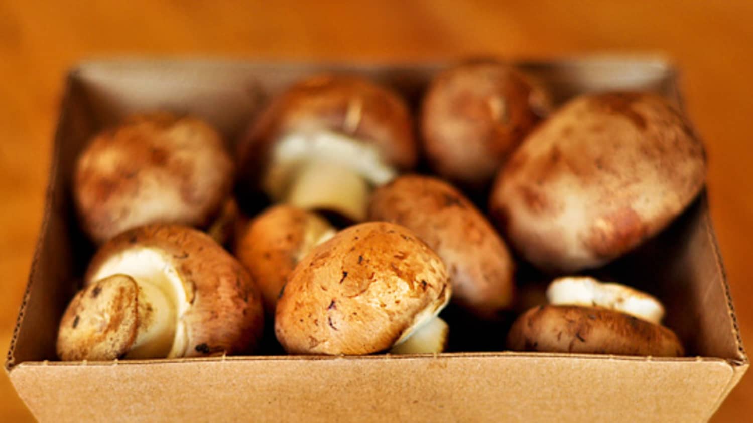 2 Ways To Store Mushrooms Kitchn