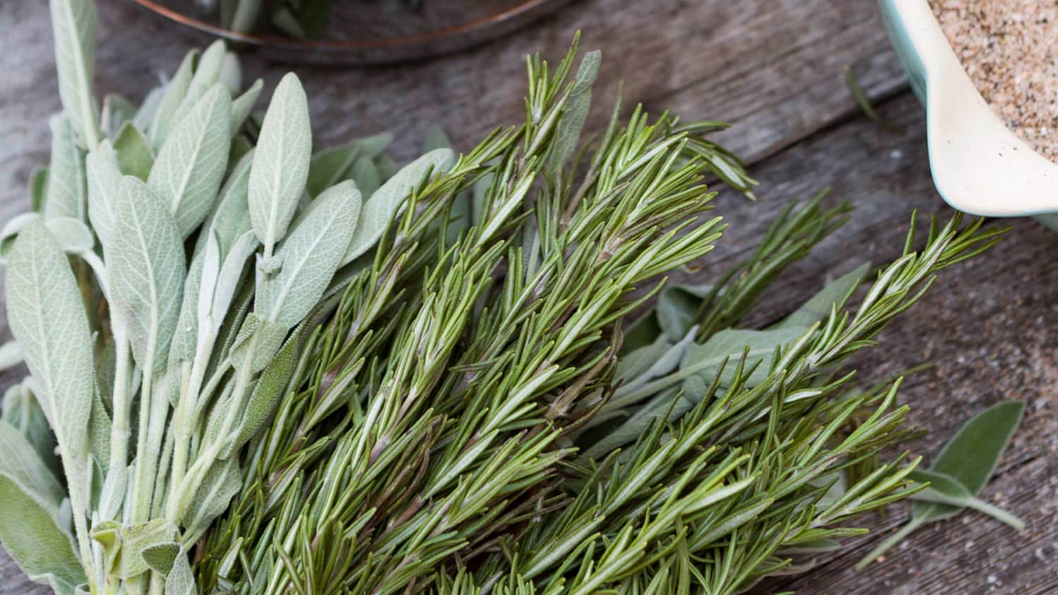 When To Use Fresh Herbs When To Use Dried Herbs Kitchn