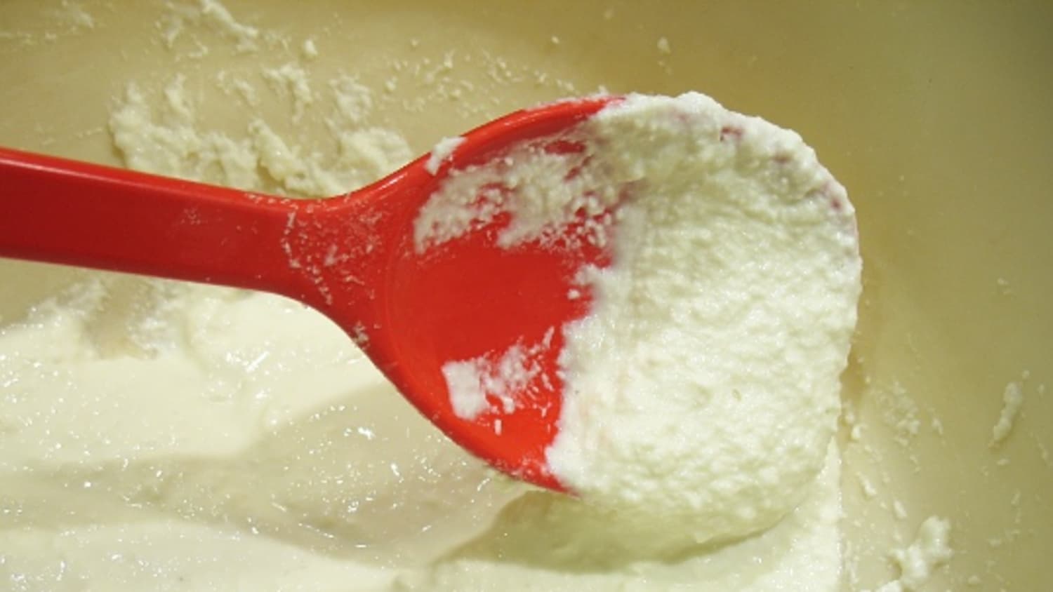 Help What Went Wrong With Our Mozzarella Kitchn