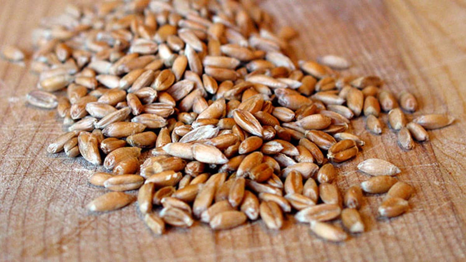 Good Grains: What Is Spelt? | Kitchn
