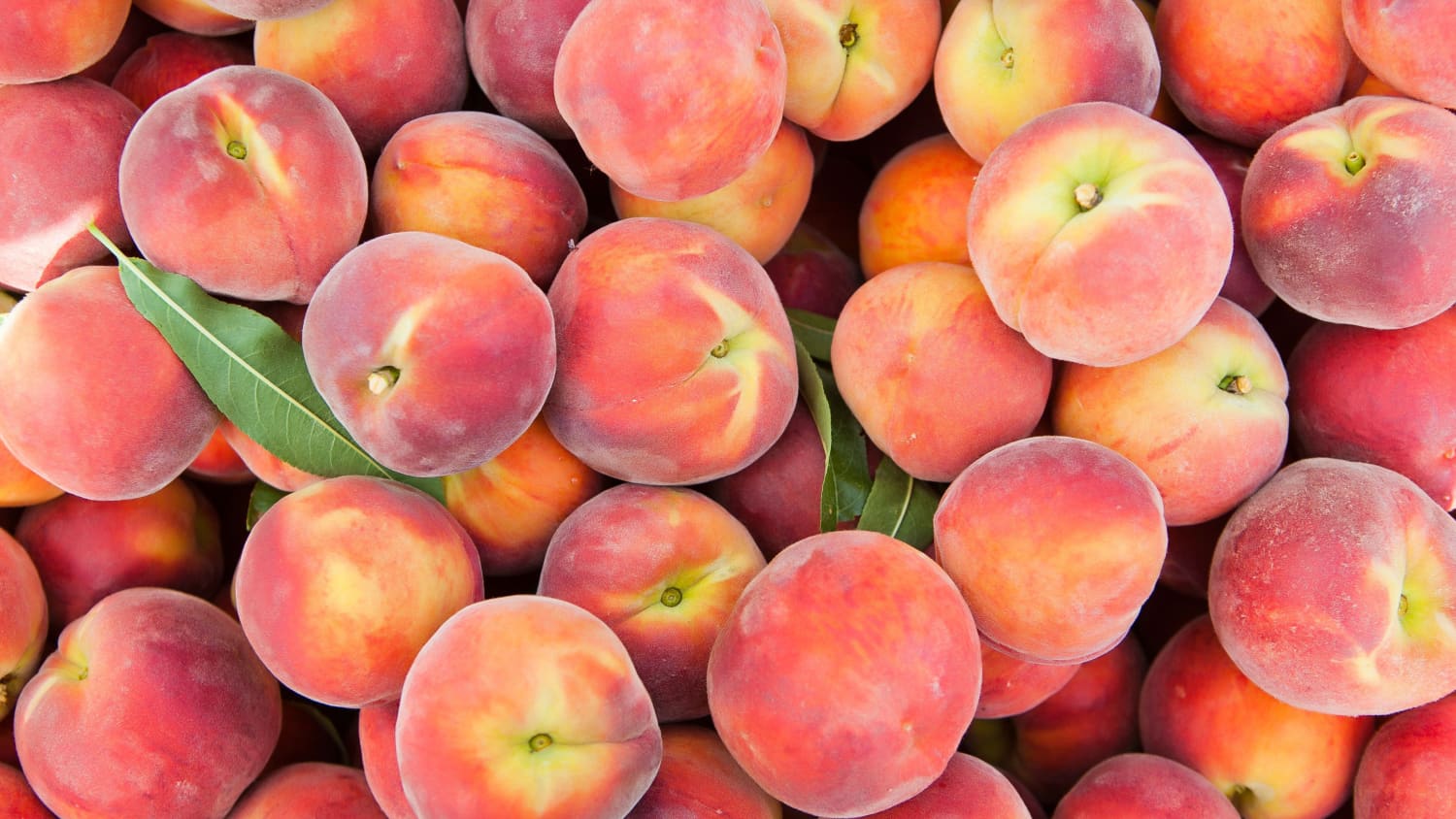 What S The Fastest Way To Ripen A Peach Kitchn