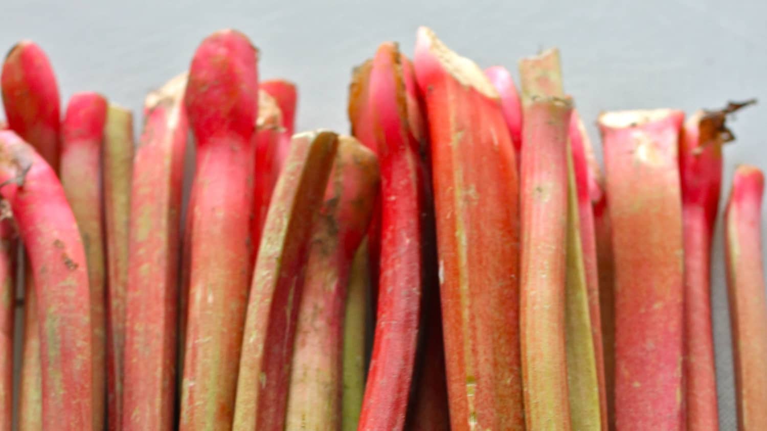 What Is Rhubarb and What Can You Do With It? - How to Cook It, Buy, and  Store