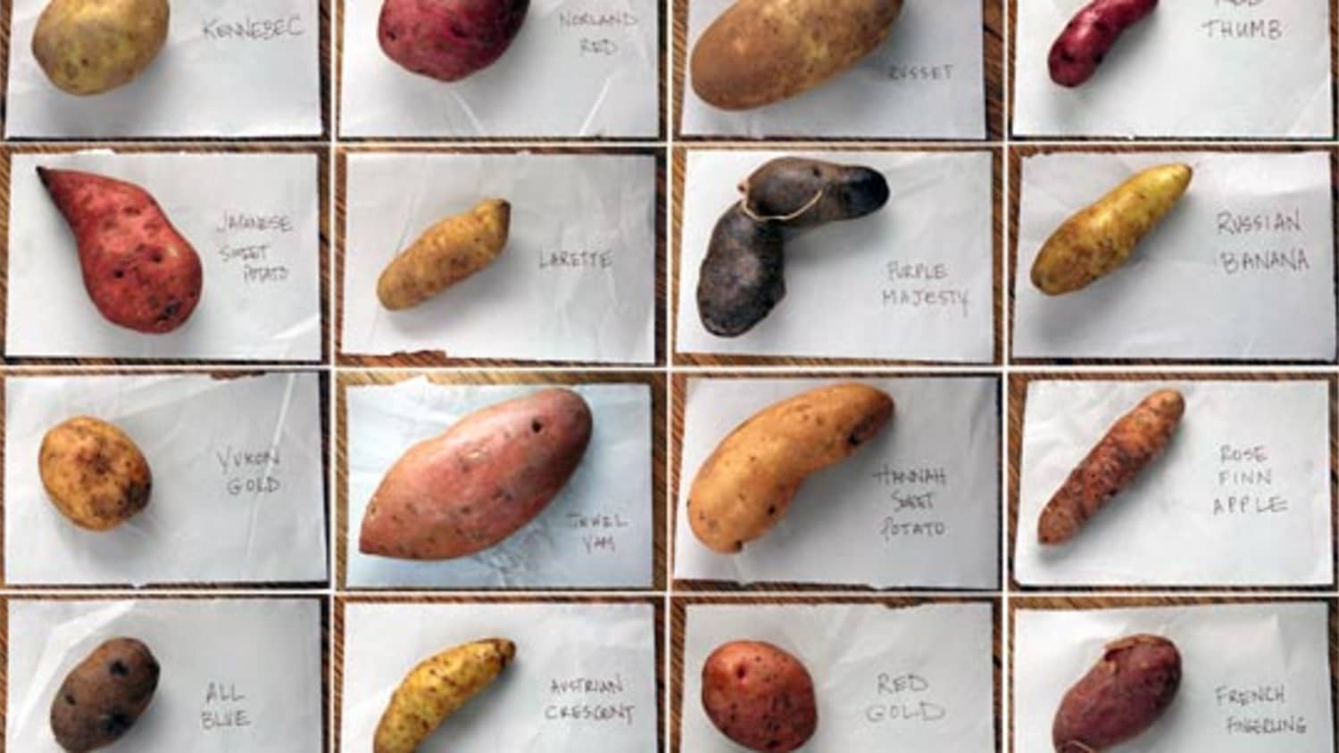 Sixteen Kinds Of Potatoes Kitchn