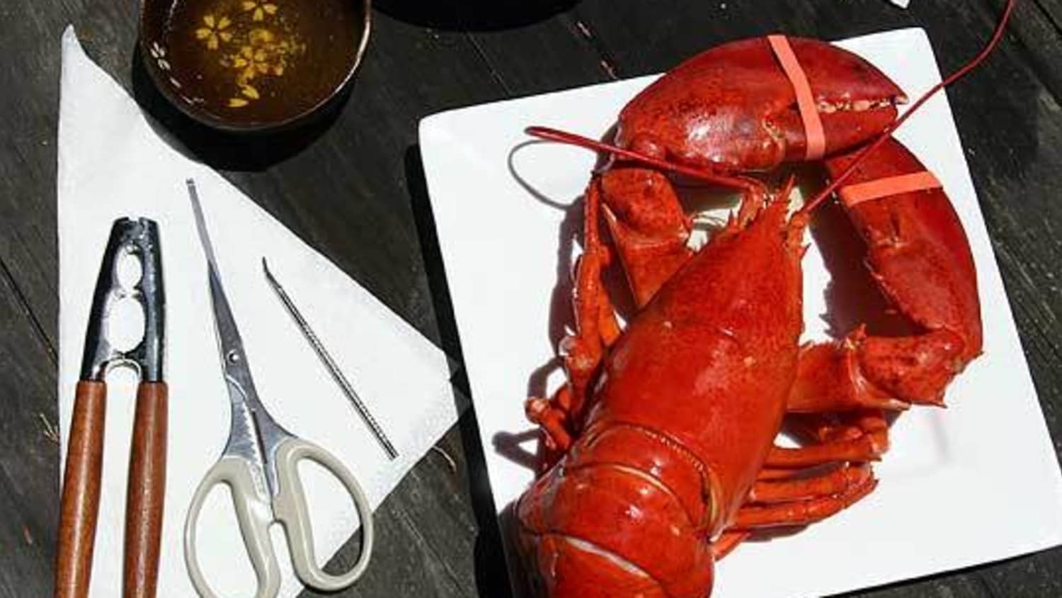 How To Crack And Eat A Whole Lobster Kitchn