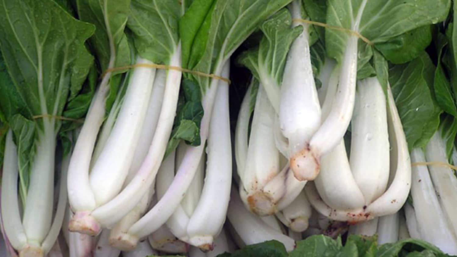 Five Ways To Eat Bok Choy Kitchn