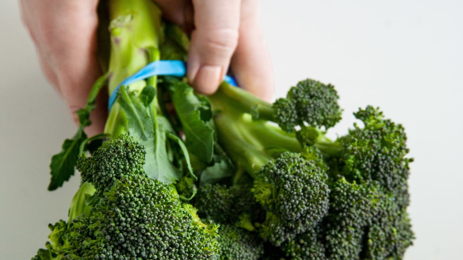 Here S What 1 Pound Of Broccoli Looks Like Kitchn