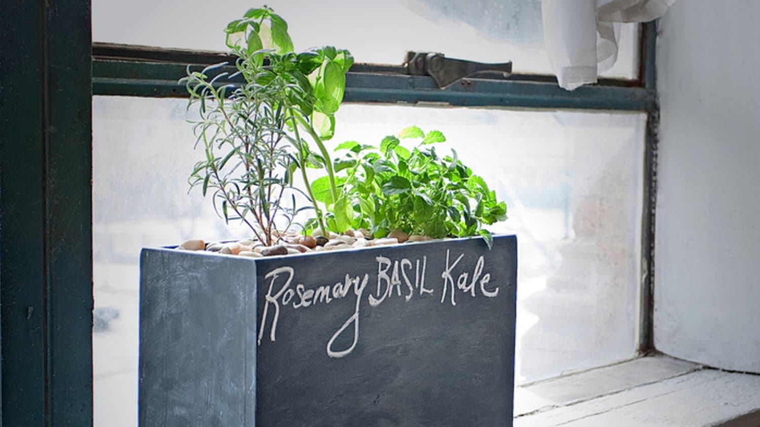An Easy Way To Grow Indoor Herbs Modern Sprout S Hydroponic
