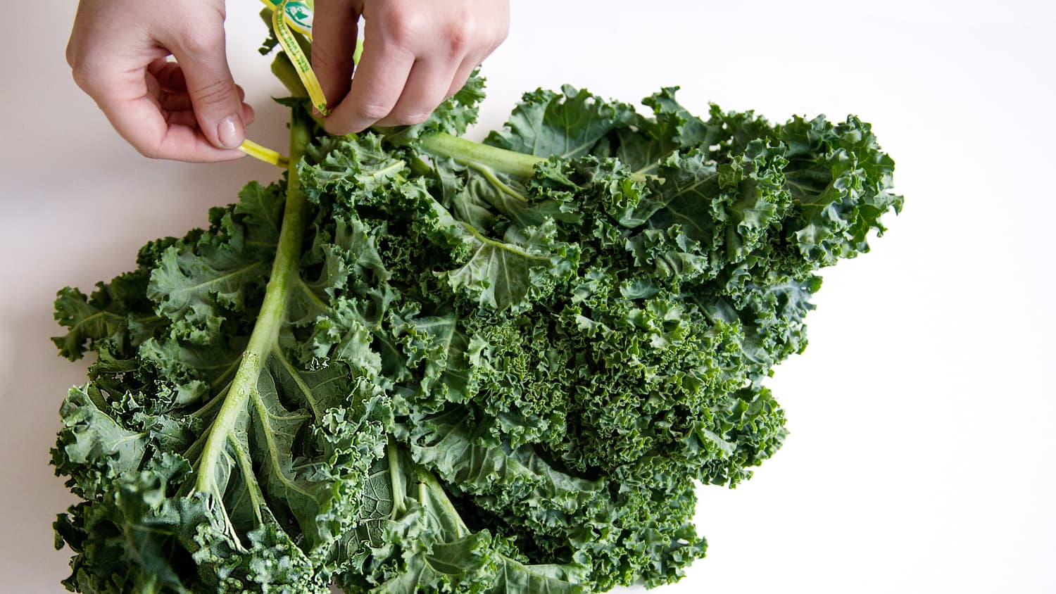 here s what 1 pound of kale looks like