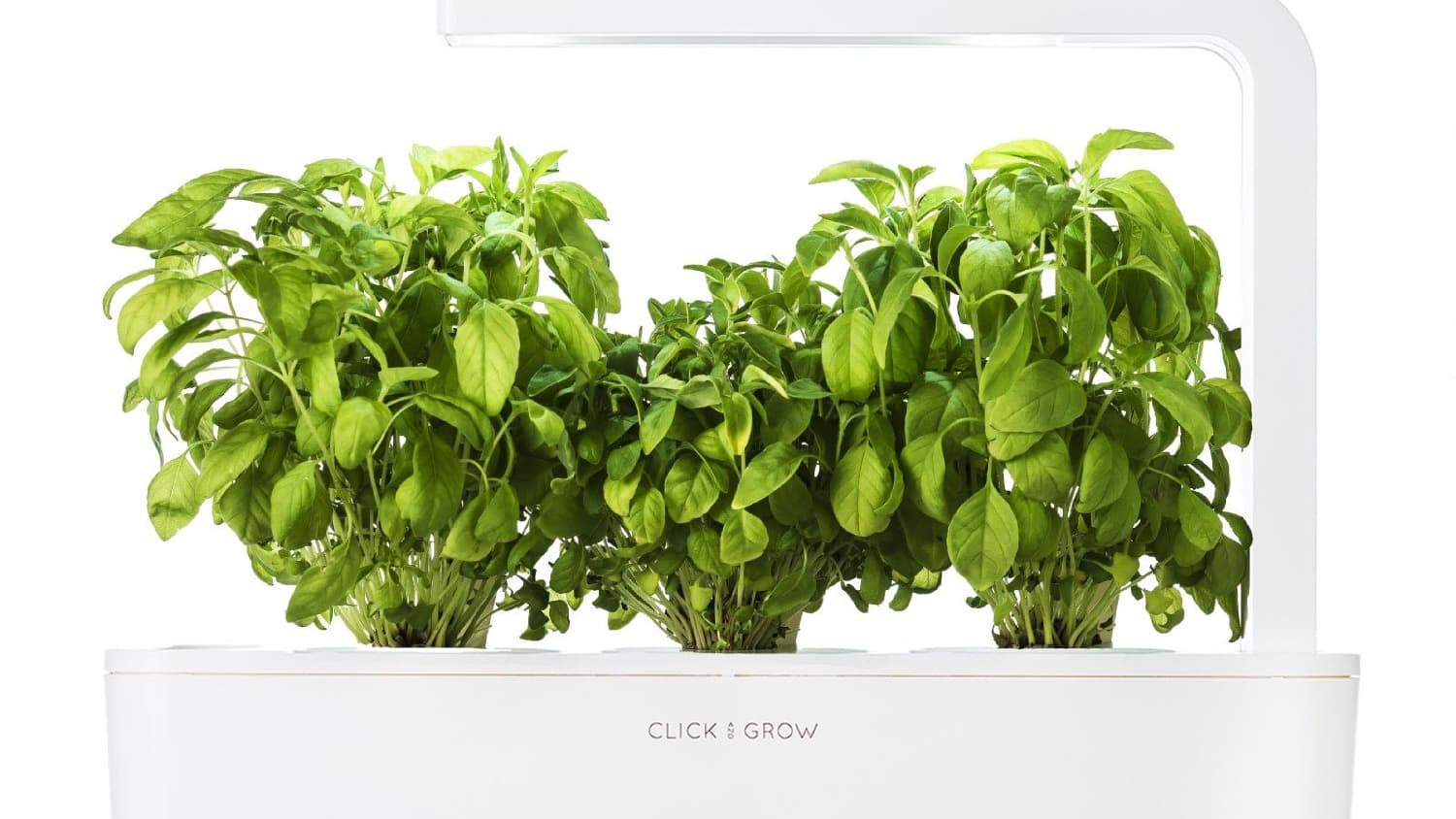 Does The Click And Grow Garden System Actually Work Kitchn