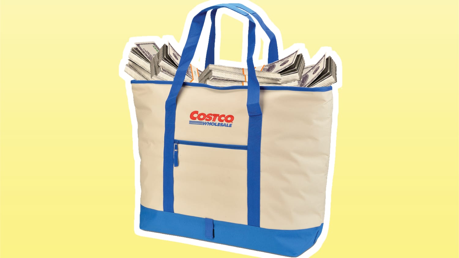 Costco briefcase Clearance