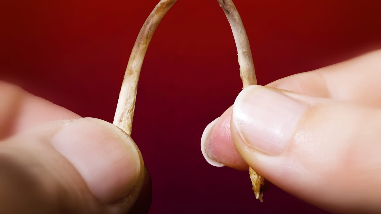 Get Wallpaper What S A Wishbone And Why Do We Crack It Kitchn For Android