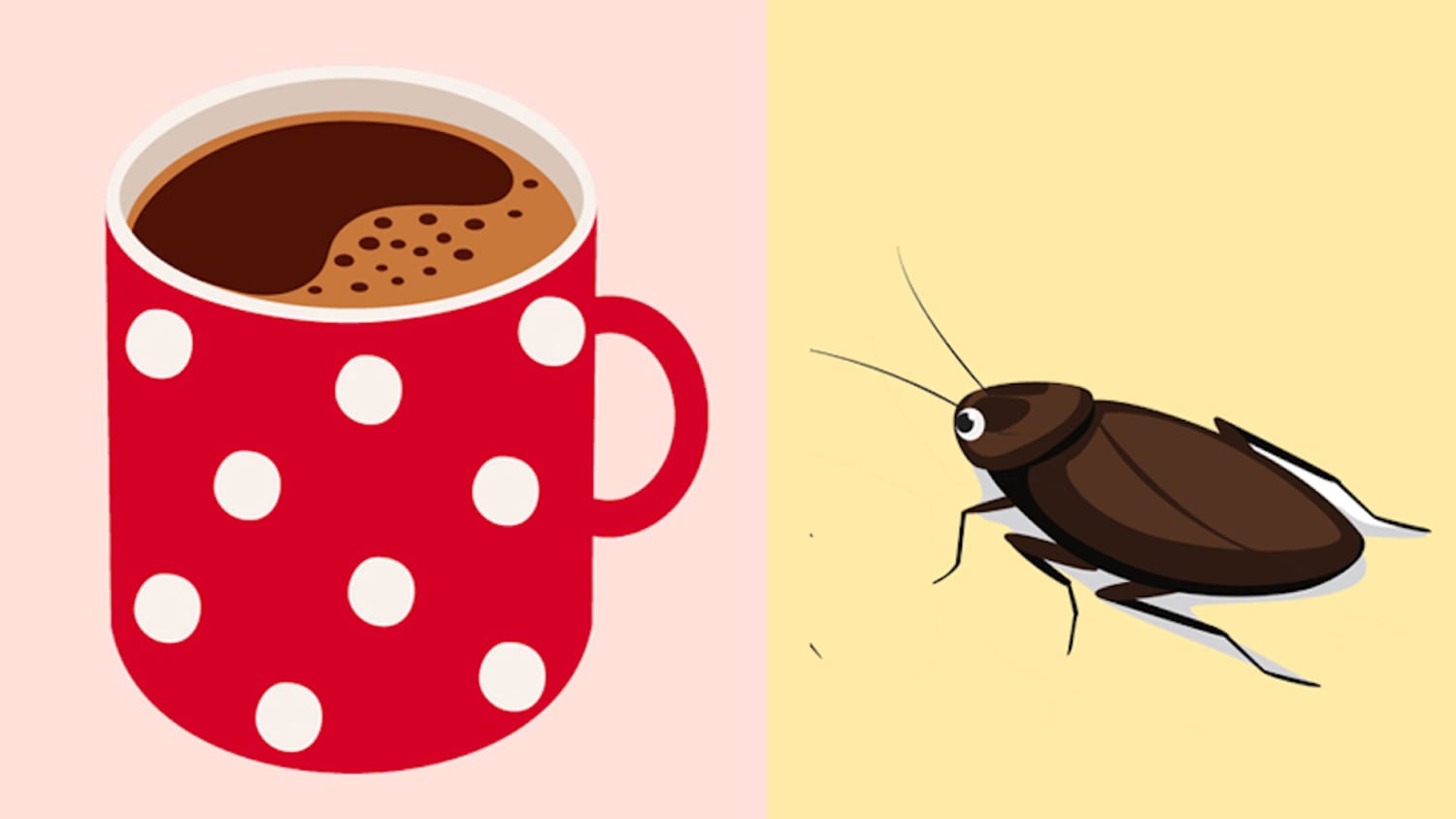 Roaches In Your Kitchen Check The Coffee Maker Kitchn