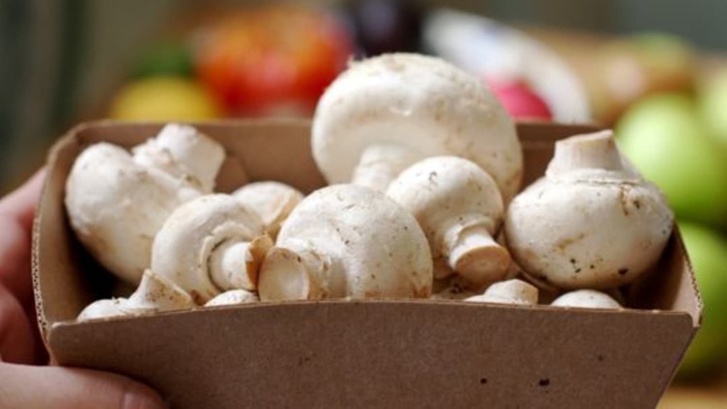 In Praise of the Button Mushroom | Kitchn