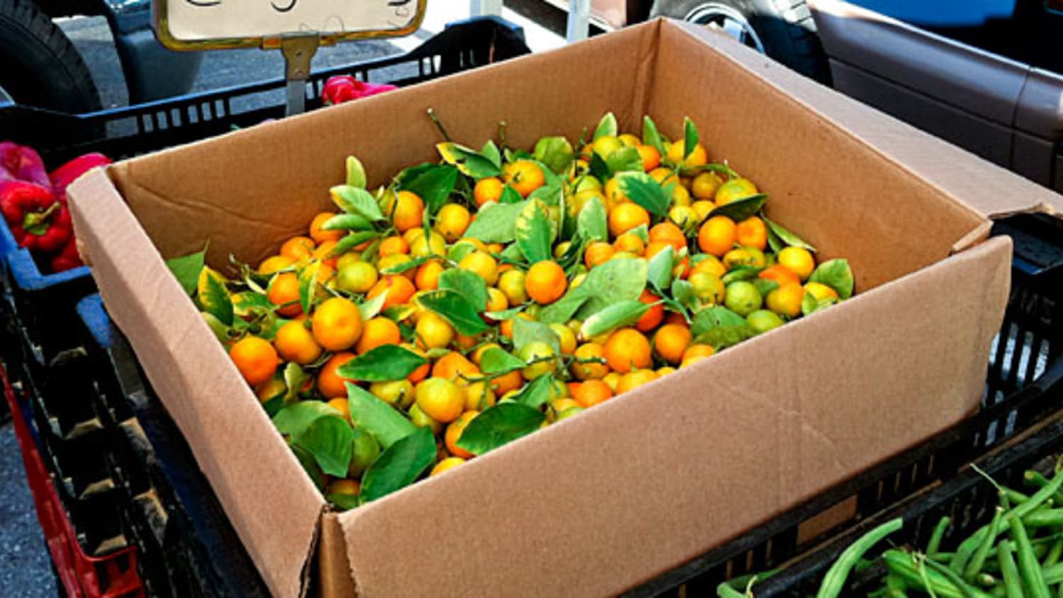 Strong and Sour: Calamansi Lemons | Kitchn