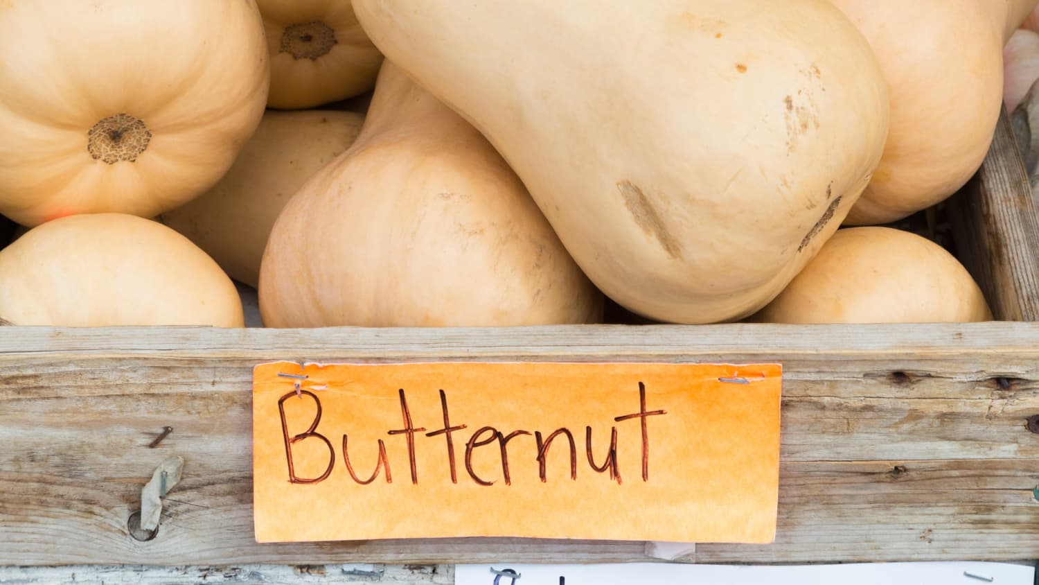 The 11 Varieties Of Winter Squash You Need To Know Kitchn