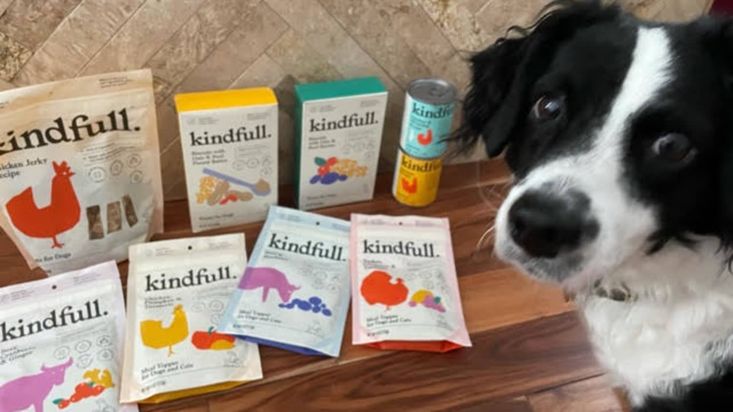 Target dog new arrivals food bowls