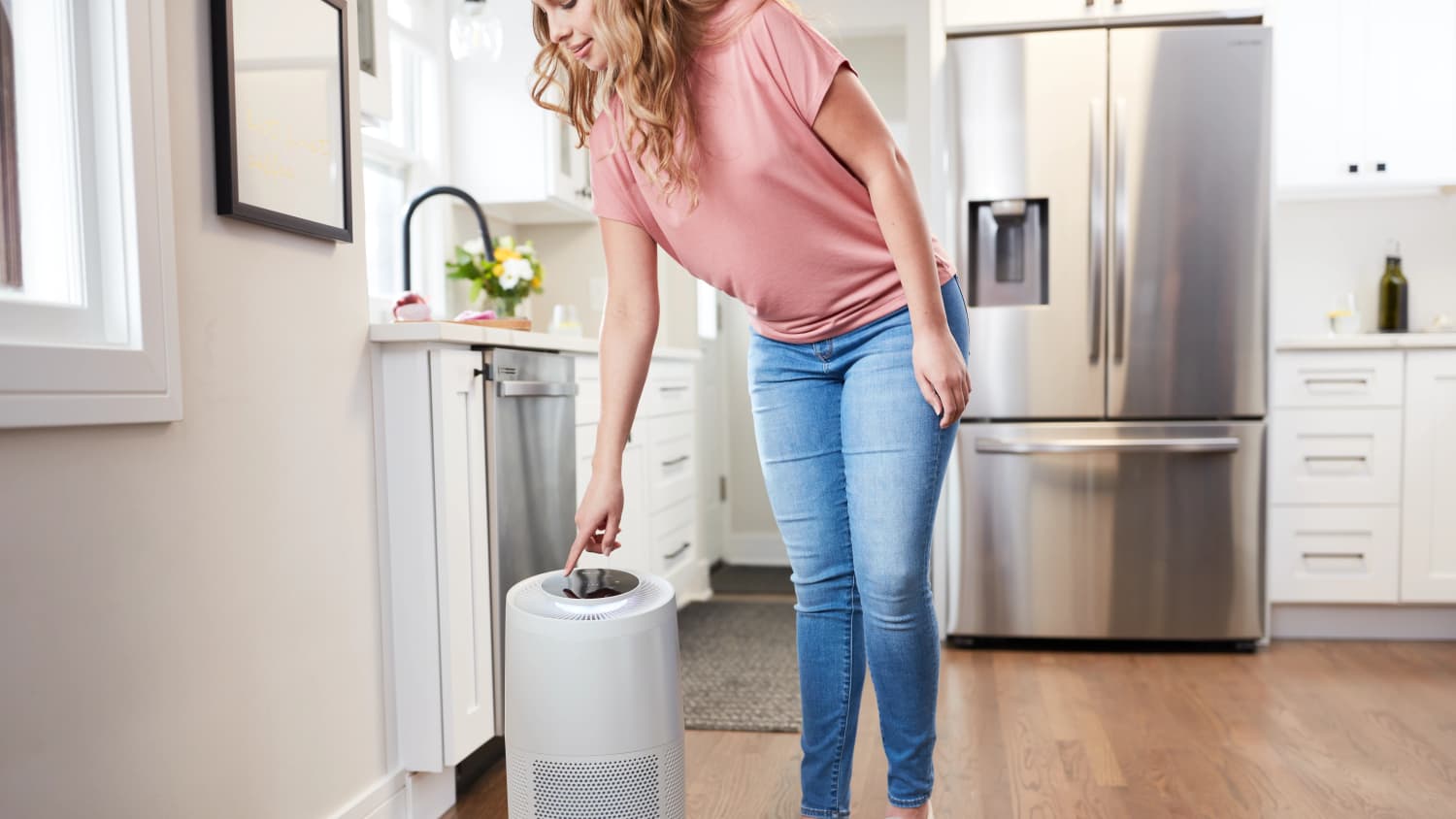 Best air purifier for kitchen store