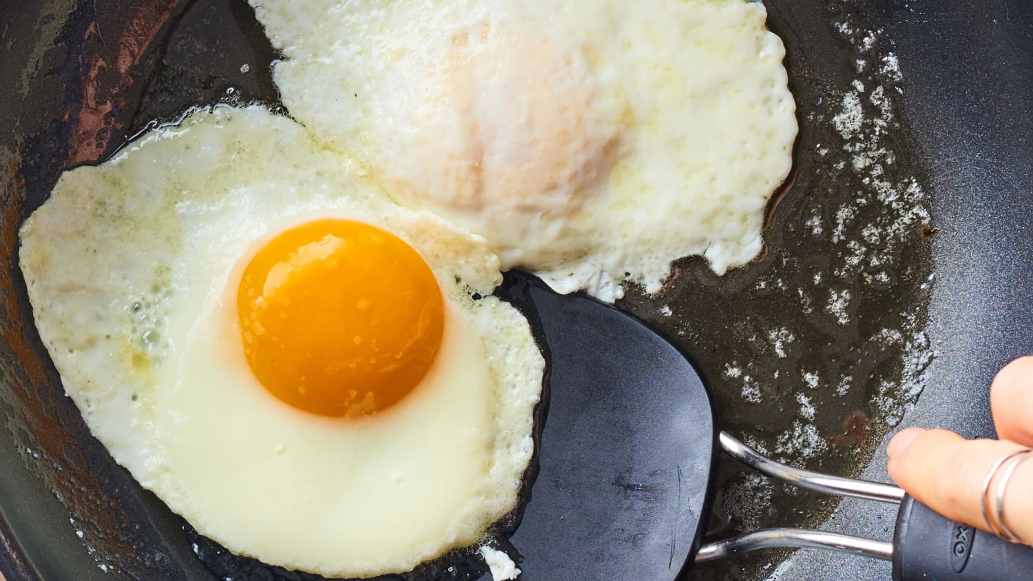 Are fried eggs hot sale good for dogs