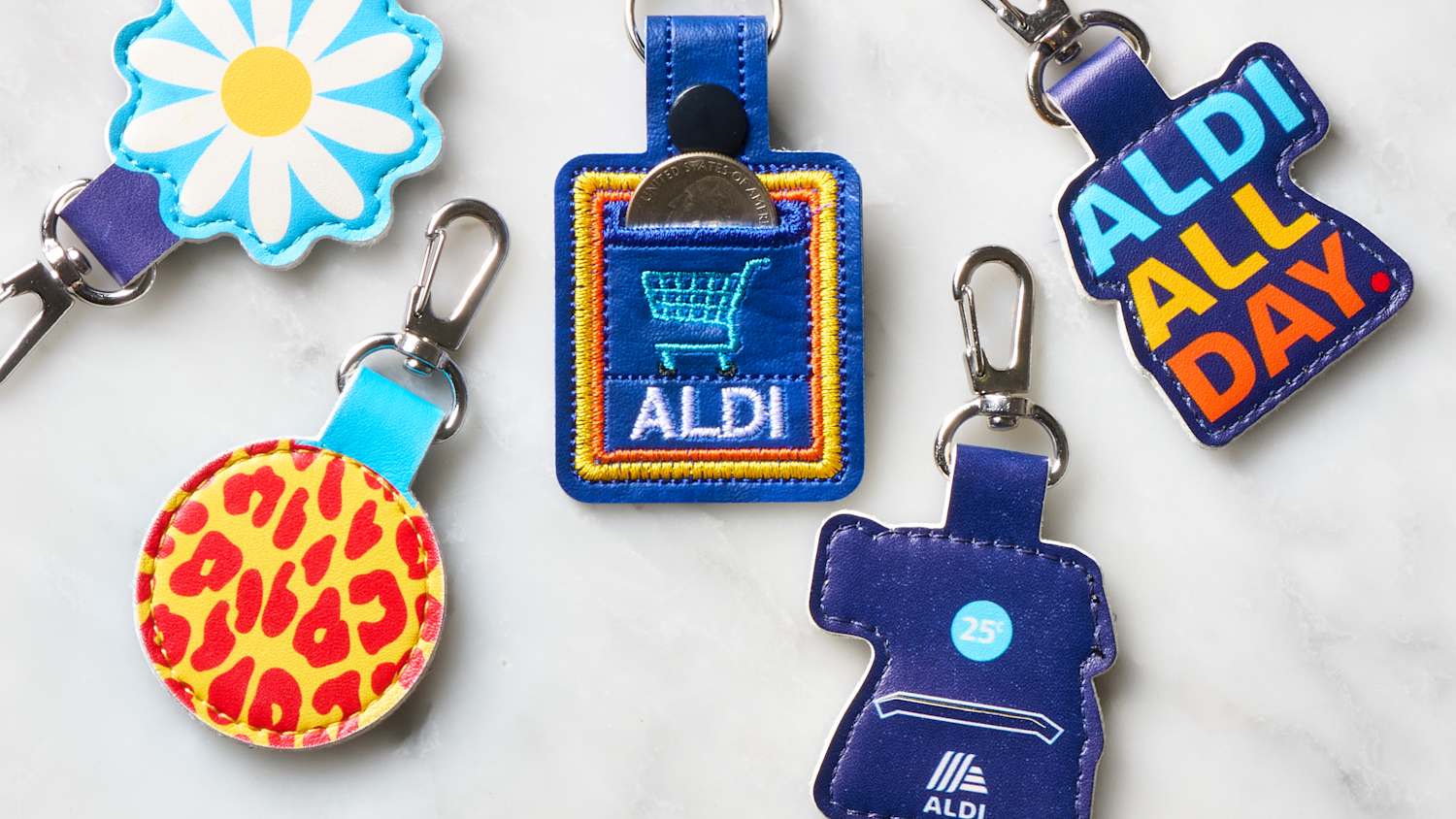 An Insider s Guide to the Famous Aldi Quarter Holder The Kitchn