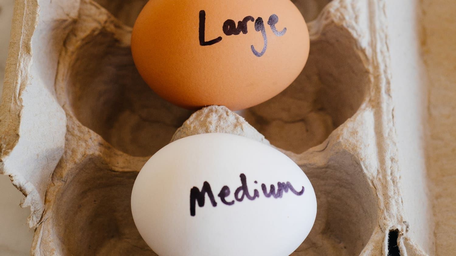 A big egg new arrivals
